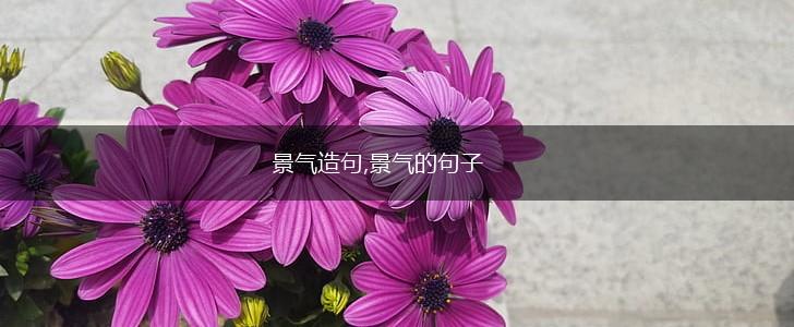 景气造句,景气的句子,第1张