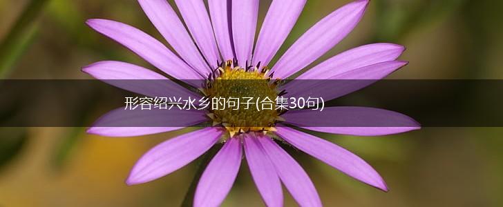 形容绍兴水乡的句子(合集30句),第1张