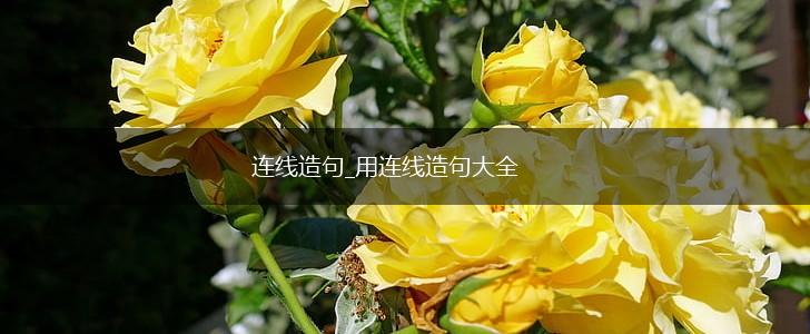 连线造句_用连线造句大全,第1张