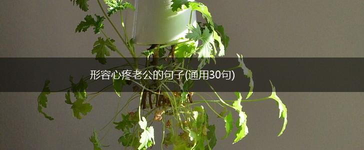 形容心疼老公的句子(通用30句),第1张