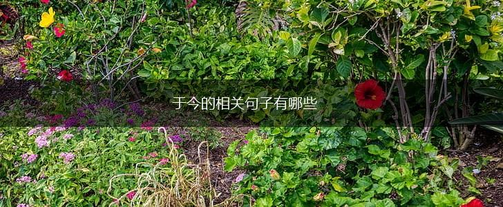 于今的相关句子有哪些,第1张