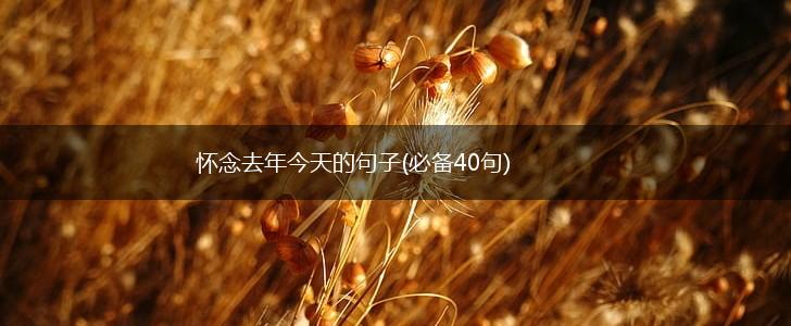 怀念去年今天的句子(必备40句),第1张