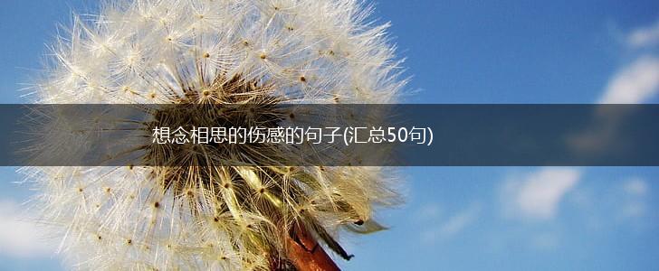 想念相思的伤感的句子(汇总50句),第1张