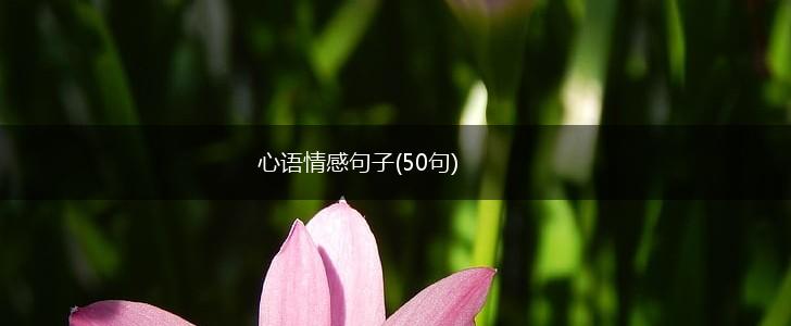 心语情感句子(50句),第1张