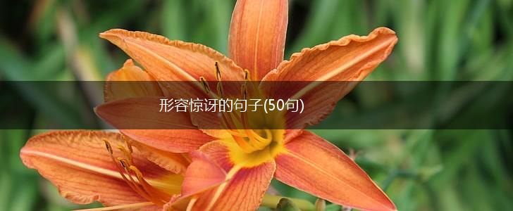 形容惊讶的句子(50句),第1张