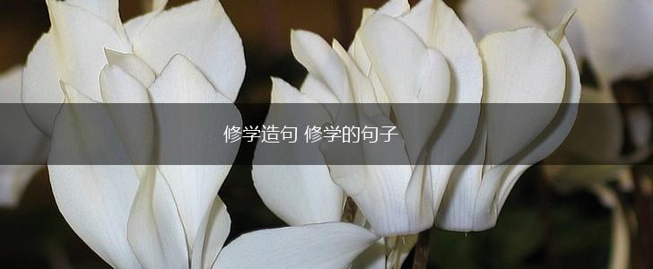 修学造句 修学的句子,第1张