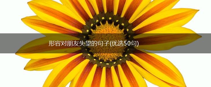 形容对朋友失望的句子(优选50句),第1张