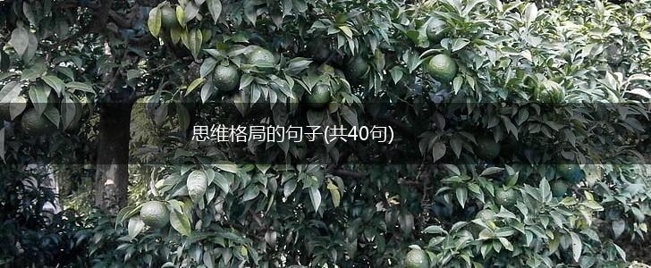 思维格局的句子(共40句),第1张