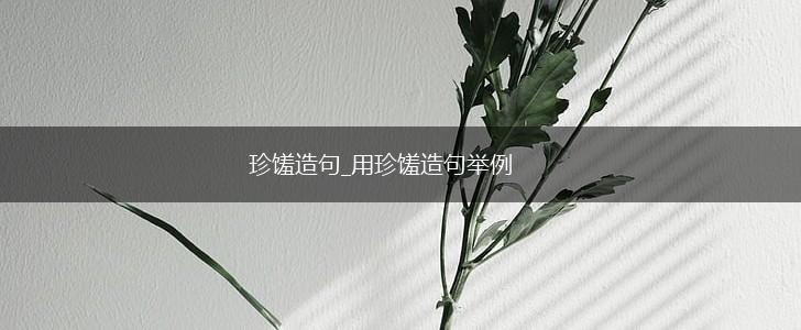 珍馐造句_用珍馐造句举例,第1张