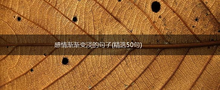 感情渐渐变淡的句子(精选50句),第1张
