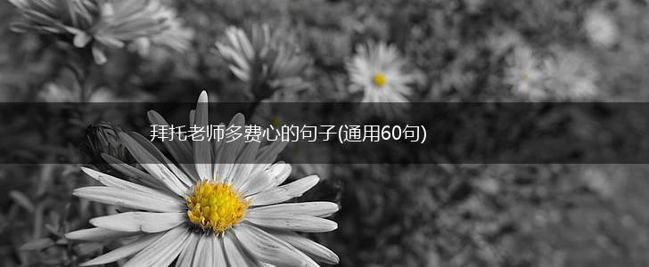 拜托老师多费心的句子(通用60句),第1张