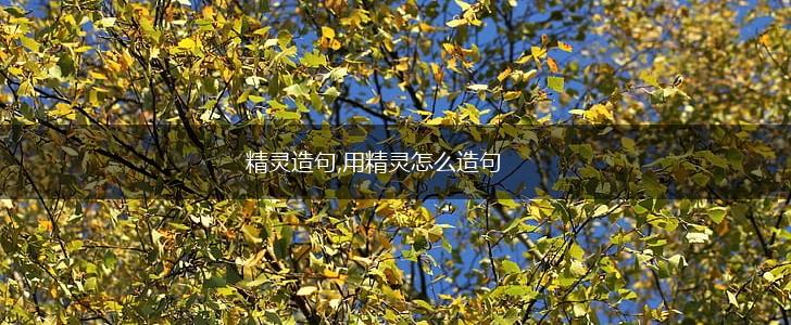 精灵造句,用精灵怎么造句,第1张