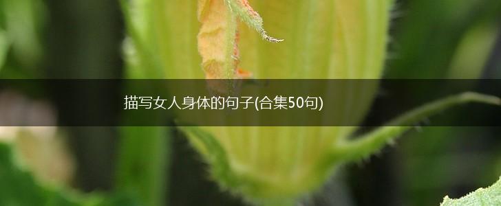 描写女人身体的句子(合集50句),第1张