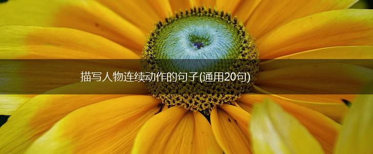描写人物连续动作的句子(通用20句),第1张