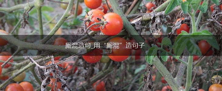 厮混造句_用“厮混”造句子,第1张