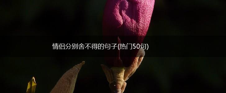 情侣分别舍不得的句子(热门50句),第1张