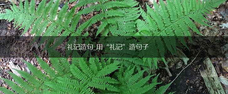 礼记造句_用“礼记”造句子,第1张