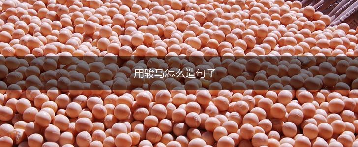 用骏马怎么造句子,第1张