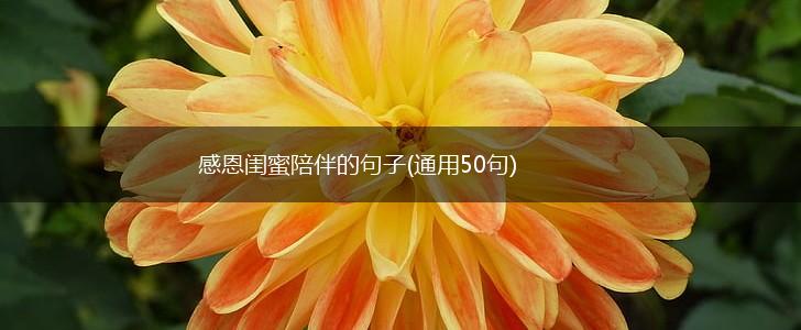 感恩闺蜜陪伴的句子(通用50句),第1张