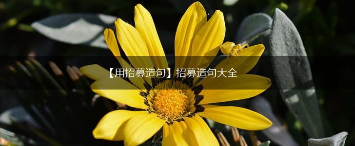 【用招募造句】招募造句大全,第1张