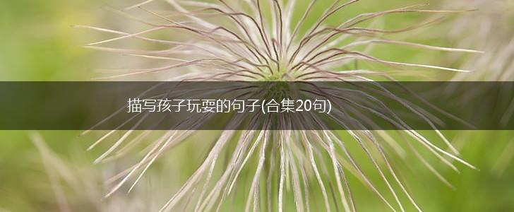 描写孩子玩耍的句子(合集20句),第1张