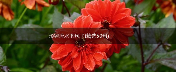 形容流水的句子(精选50句),第1张