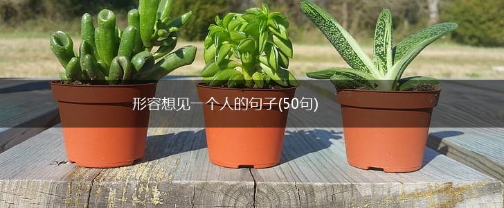 形容想见一个人的句子(50句),第1张
