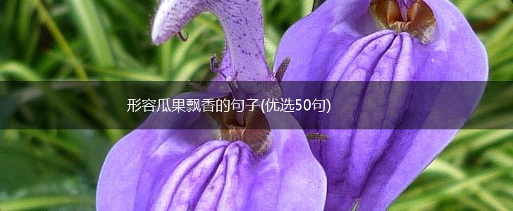 形容瓜果飘香的句子(优选50句),第1张