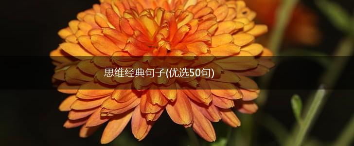 思维经典句子(优选50句),第1张