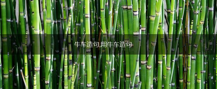 牛车造句,用牛车造句,第1张