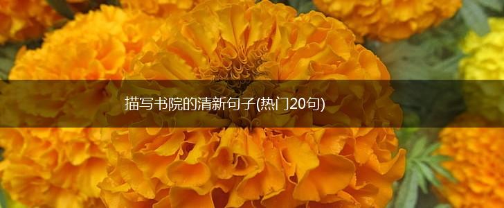 描写书院的清新句子(热门20句),第1张