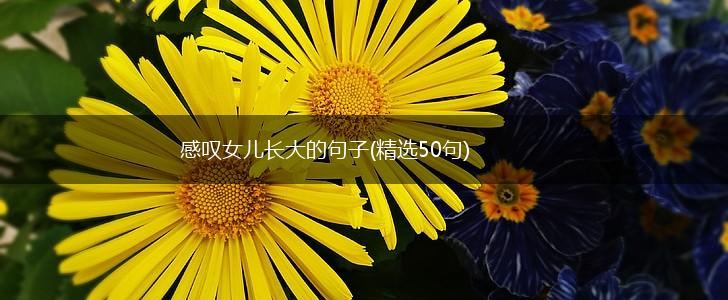 感叹女儿长大的句子(精选50句),第1张