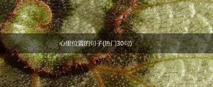 心里位置的句子(热门30句),第1张