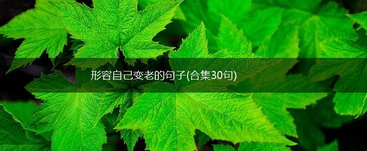 形容自己变老的句子(合集30句),第1张