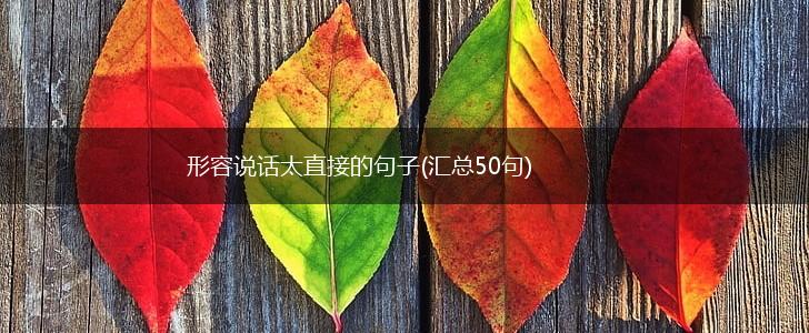形容说话太直接的句子(汇总50句),第1张