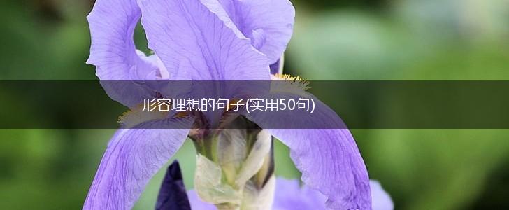 形容理想的句子(实用50句),第1张
