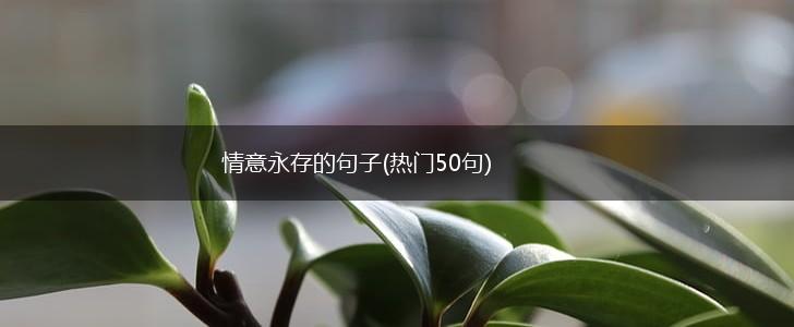情意永存的句子(热门50句),第1张