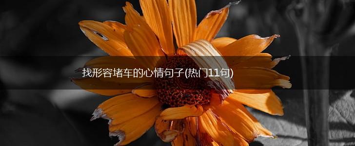 找形容堵车的心情句子(热门11句),第1张