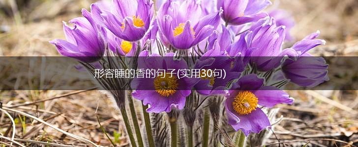 形容睡的香的句子(实用30句),第1张