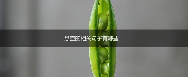 悬壶的相关句子有哪些,第1张