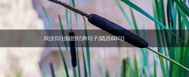 我送你出嫁的经典句子(精选60句),第1张