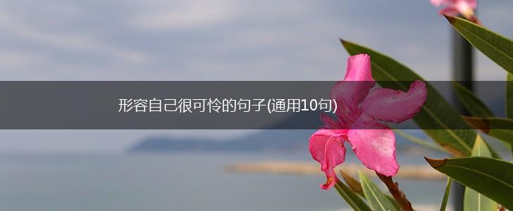 形容自己很可怜的句子(通用10句),第1张