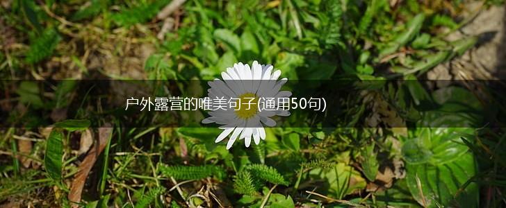 户外露营的唯美句子(通用50句),第1张