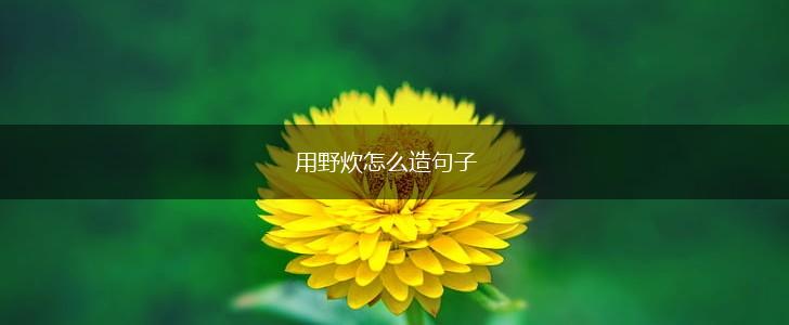 用野炊怎么造句子,第1张