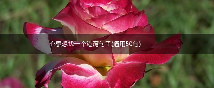 心累想找一个港湾句子(通用50句),第1张