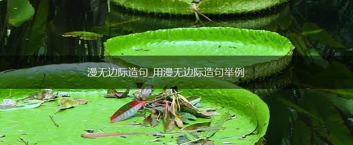 漫无边际造句_用漫无边际造句举例,第1张