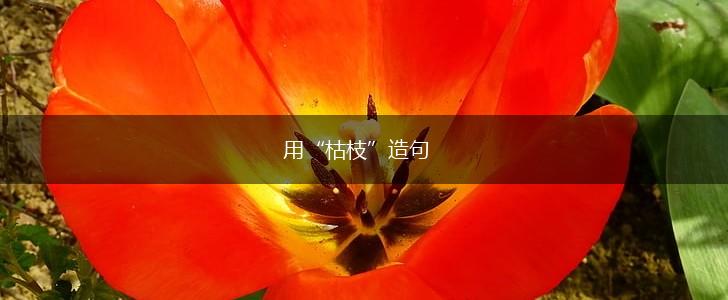 用“枯枝”造句,第1张