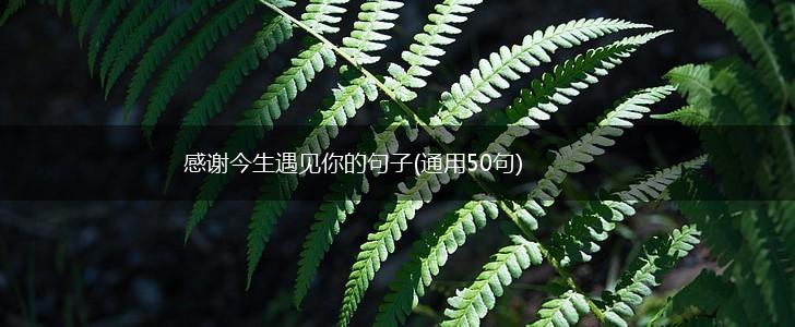 感谢今生遇见你的句子(通用50句),第1张