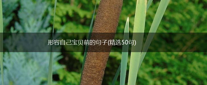 形容自己宝贝萌的句子(精选50句),第1张