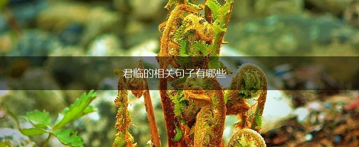 君临的相关句子有哪些,第1张